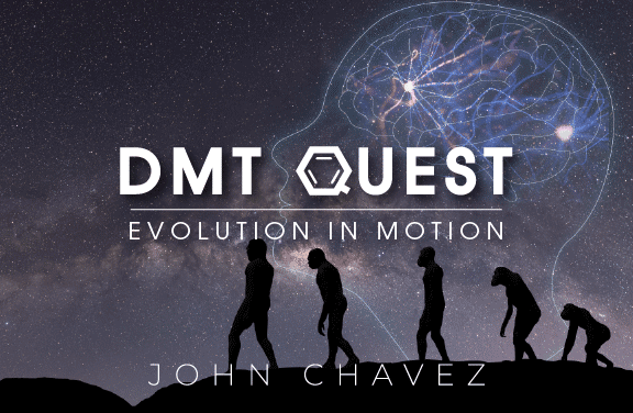 DMT: Evolution in Motion